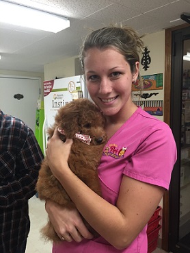 Payton — Grooming & Boarding